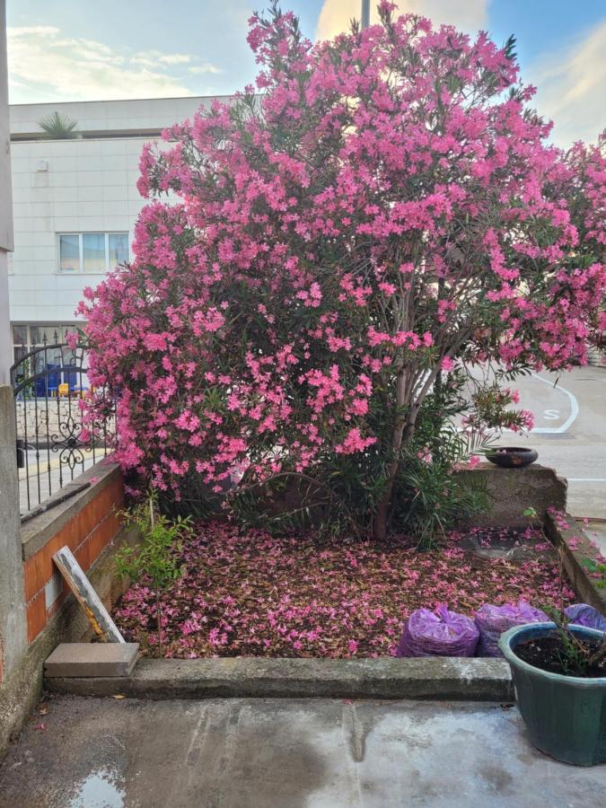 Harizma Appartement Primošten Buitenkant foto